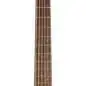 Takamine GN93CE-N2