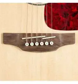 Takamine GN93CE-N2