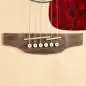 Takamine GN93CE-N2