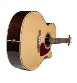 Takamine GN93CE-N2