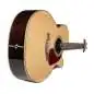 Takamine GN93CE-N2