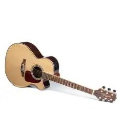 Takamine GN93CE-N2