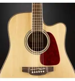Takamine GD93CEN