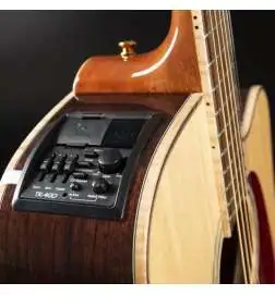 Takamine GD93CEN