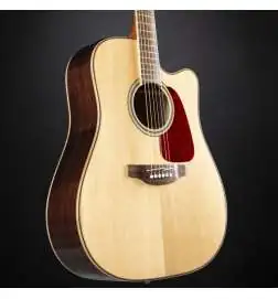 Takamine GD93CEN