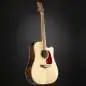 Takamine GD93CEN