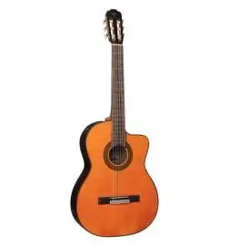 Takamine GC5CE Natural