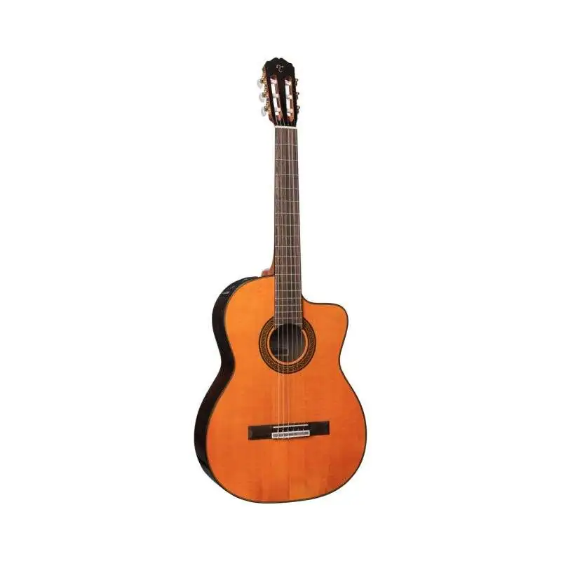 Takamine GC5CE Natural