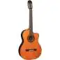 Takamine GC5CE Natural