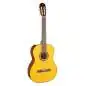 Takamine GC1N