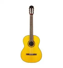 Takamine GC1N