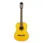 Takamine GC1N