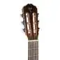 Takamine GC1N