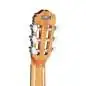 Takamine GC1N