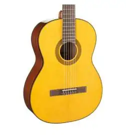 Takamine GC1N