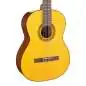 Takamine GC1N