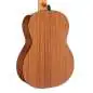 Takamine GC1N