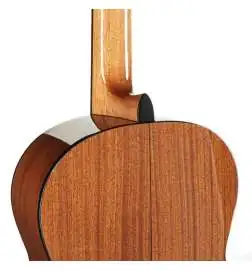 Takamine GC1N