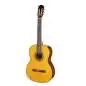 Takamine GC1N