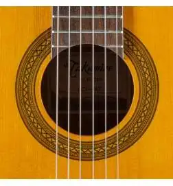 Takamine GC1N