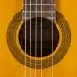 Takamine GC1N