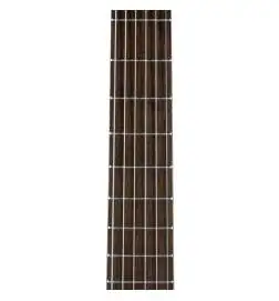 Takamine GC1N