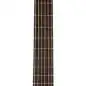 Takamine GC1N