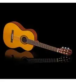 Takamine GC1N
