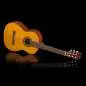 Takamine GC1N