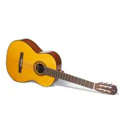 Takamine GC1N