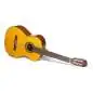 Takamine GC1N