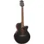 Takamine GF49CE CB
