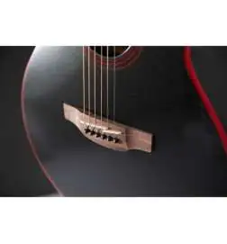 Takamine GF49CE CB