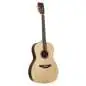 Takamine GY51E N