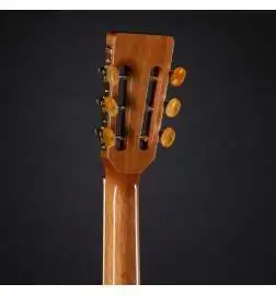 Takamine GY51E N
