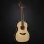 Takamine GY51E N