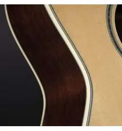 Takamine GY51E N
