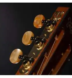 Takamine GY51E N
