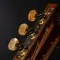 Takamine GY51E N