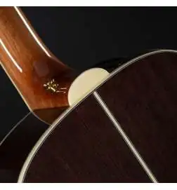 Takamine GY51E N