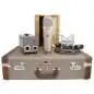 Telefunken U-47 Röhrenmikrofon