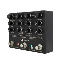 Walrus Audio Qi Etherealizer Black