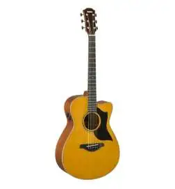 Yamaha AC5M ARE