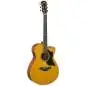 Yamaha AC5M ARE