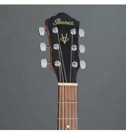 Ibanez V40-OPN