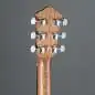Ibanez V40-OPN