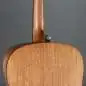 Ibanez V40-OPN