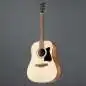 Ibanez V40-OPN