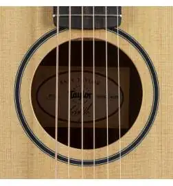 Taylor Baby Taylor BT1