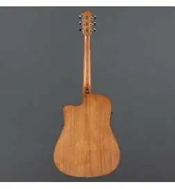Ibanez V40CE-OPN